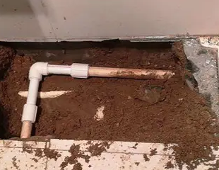 宝应测漏水哪家好