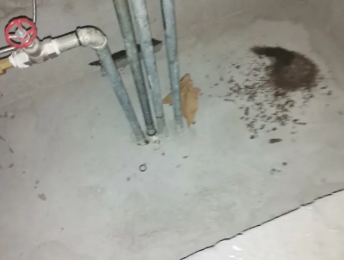 宝应卫生间测漏水价格明细