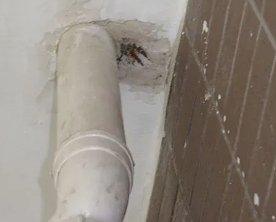 宝应漏水检测哪家好